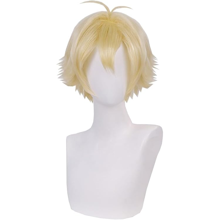 Amazon.co.jp: 埴之塚光邦 ハニー先輩 ウィッグ かつら コスプレ